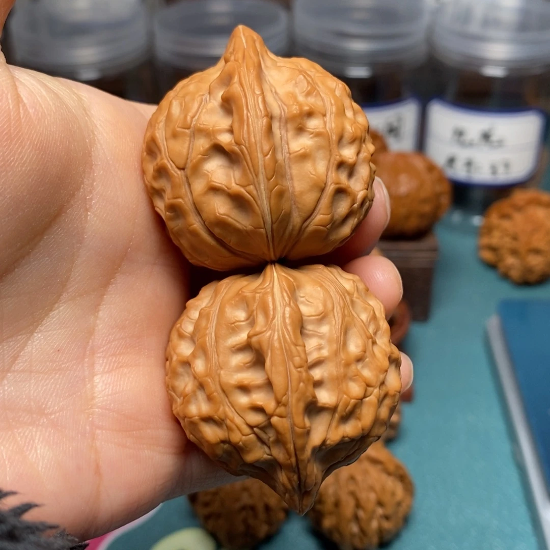 核桃38尺全品龟甲纹