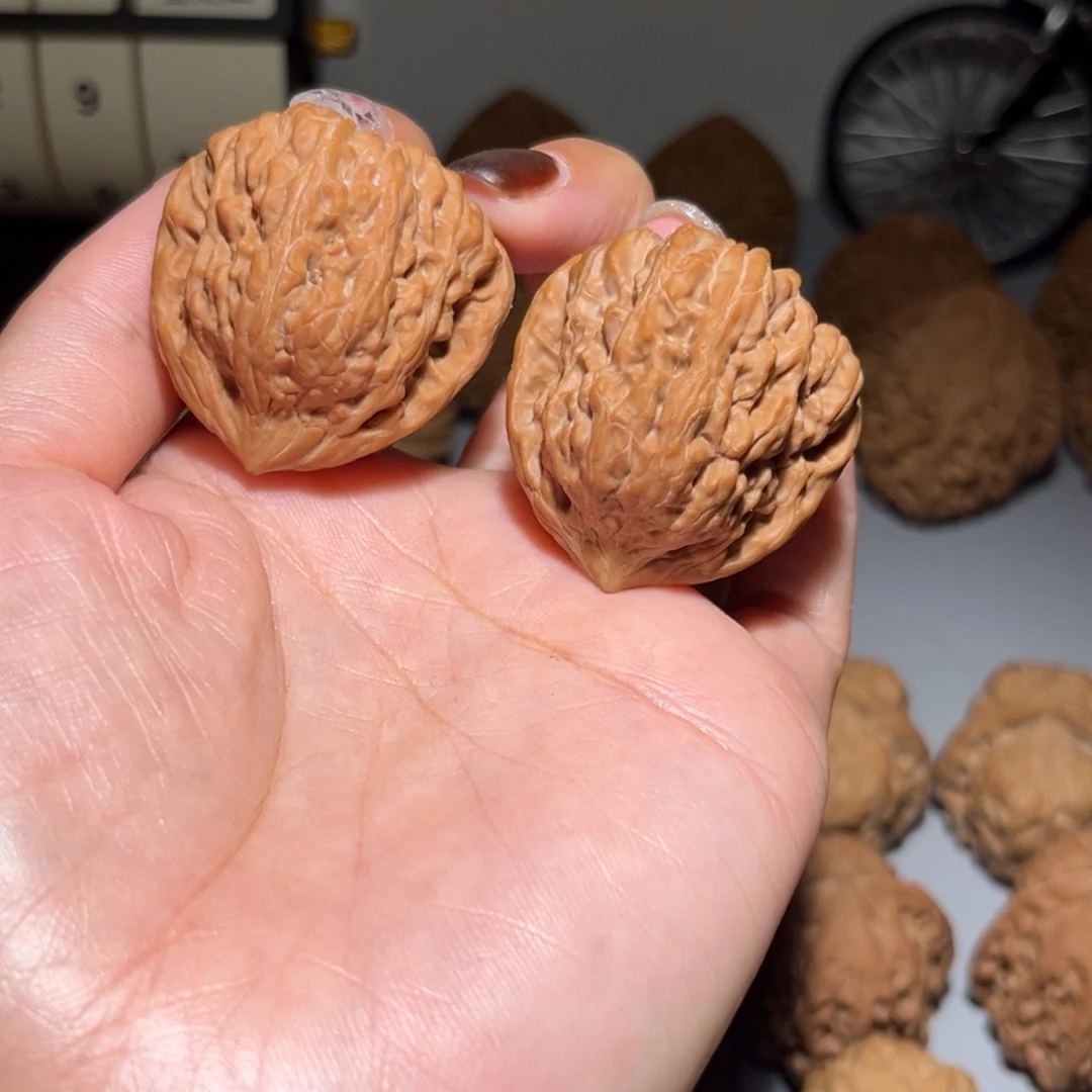 木质类凹底37全品