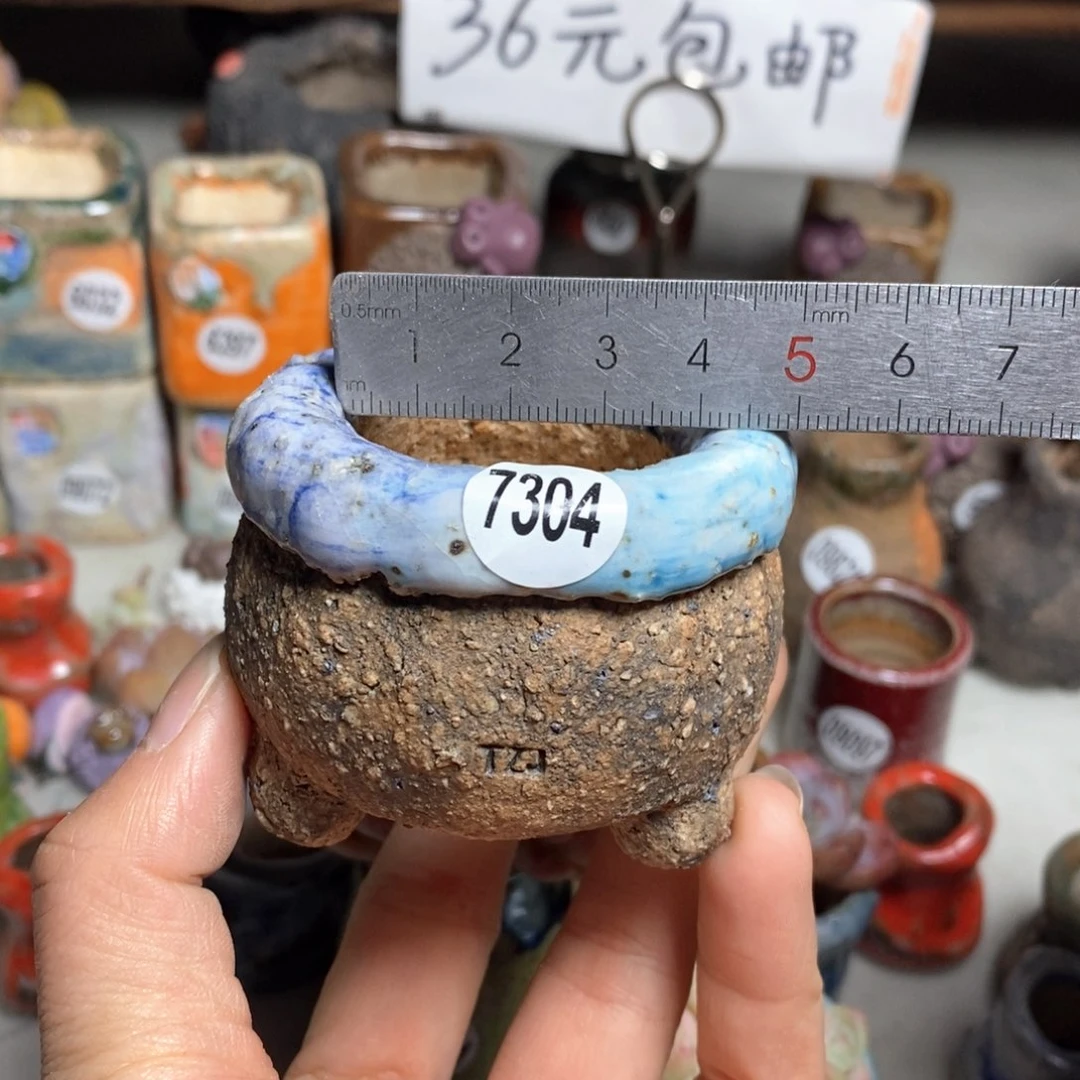 花盆拍3送一个小礼物