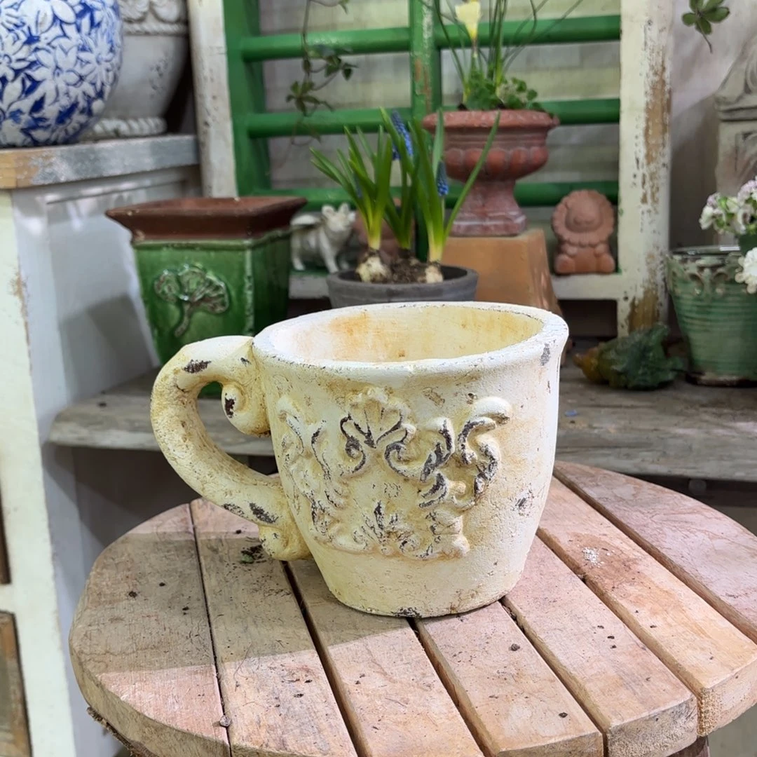 许纯的花房 暖色咖啡杯