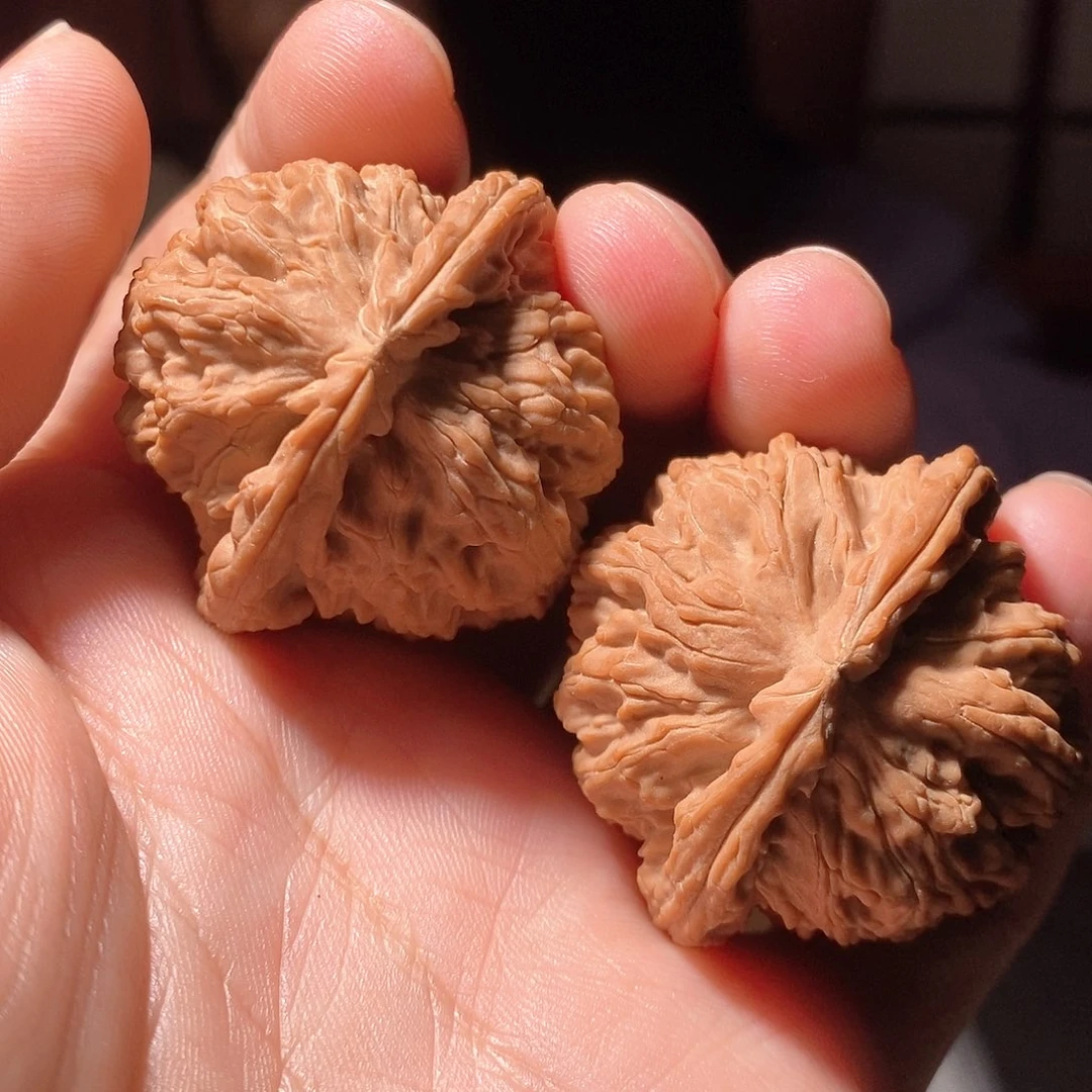 文玩核桃把件001白狮子40+