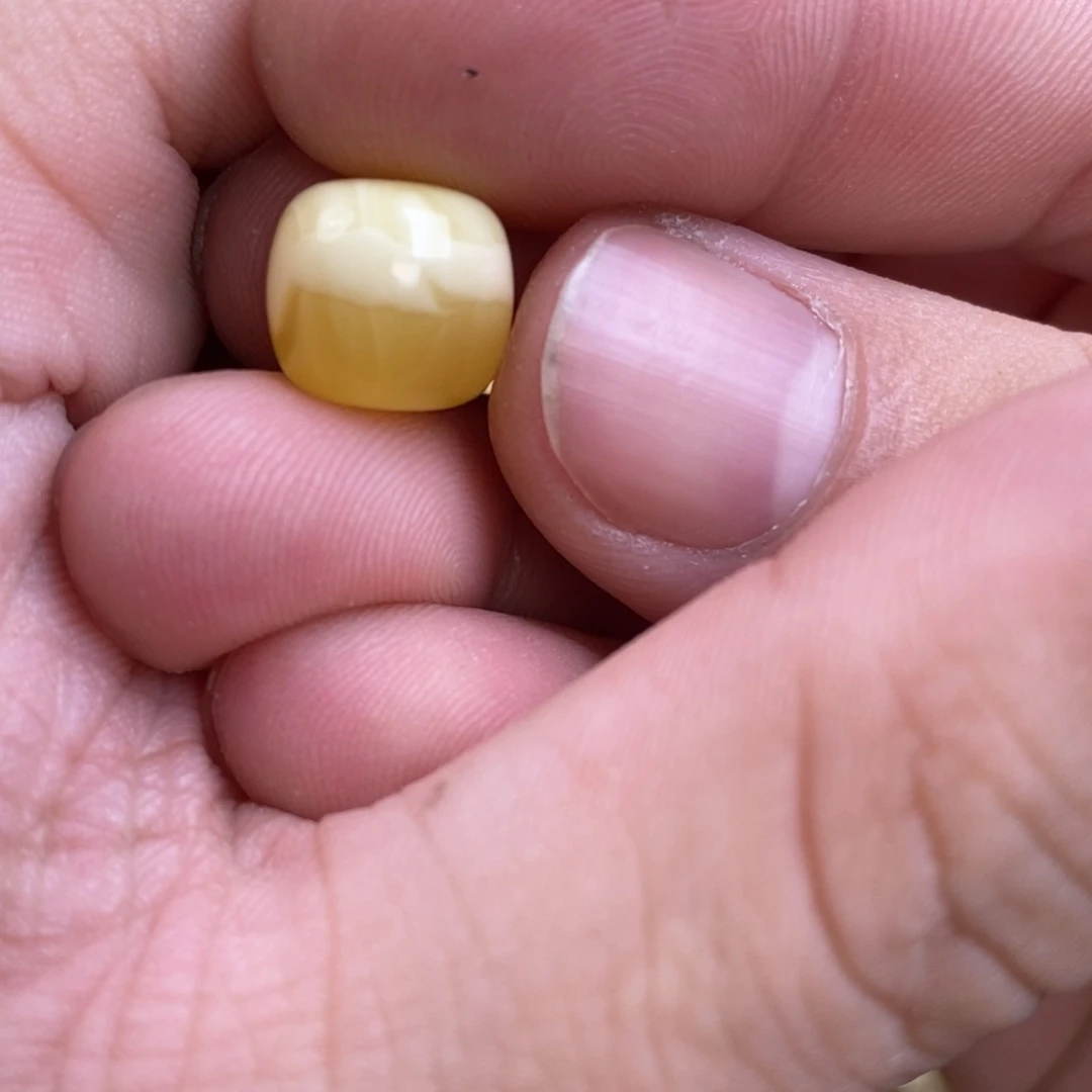 蜜蜡裸石未镶嵌诗*