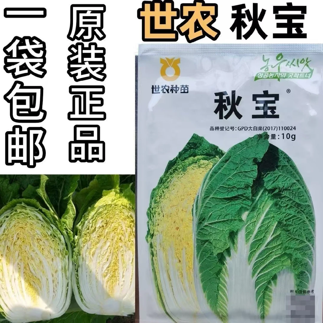 世农种苗秋宝大白菜种子外叶少早熟抗病结球力强秋季黄芯白菜种子