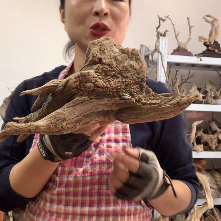 木太行崖柏毛料板根