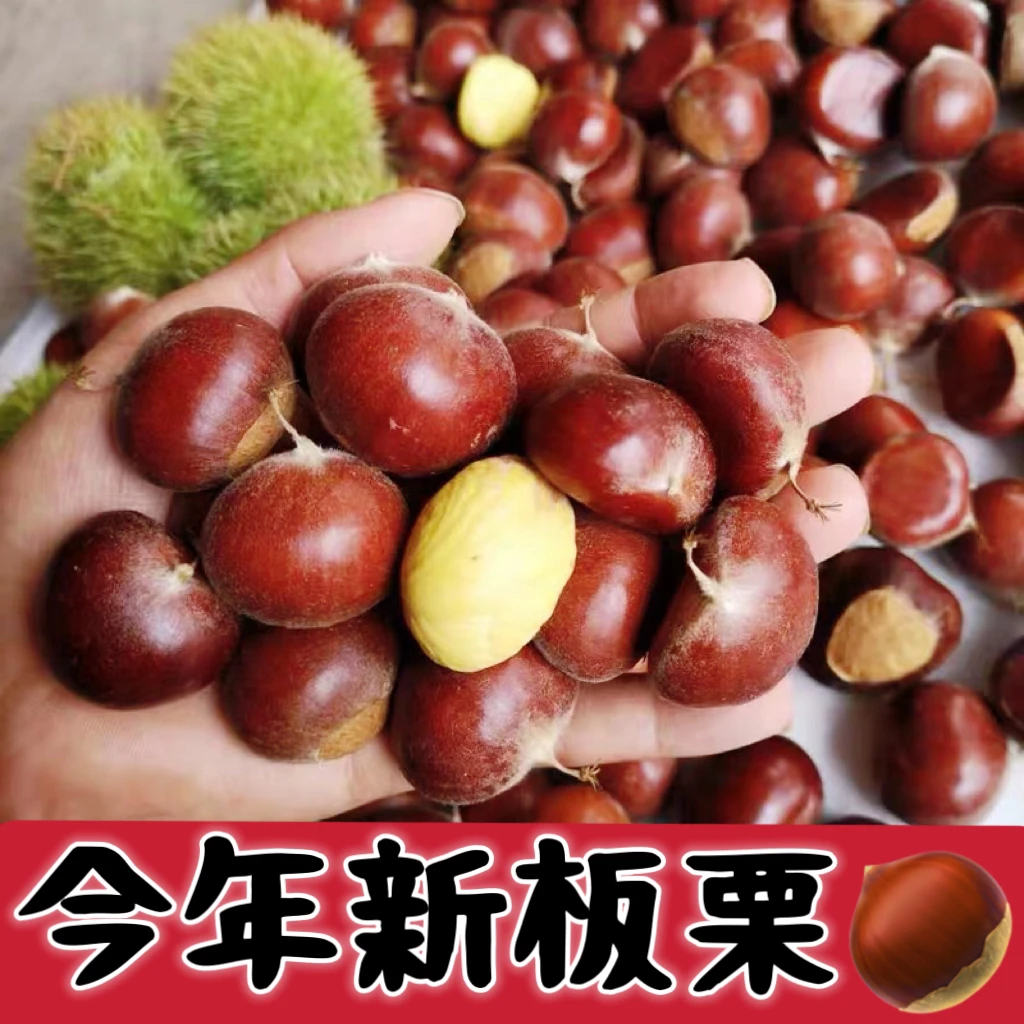 【净重3斤】云南高山板栗农家新鲜板栗 小板栗 油栗子3斤