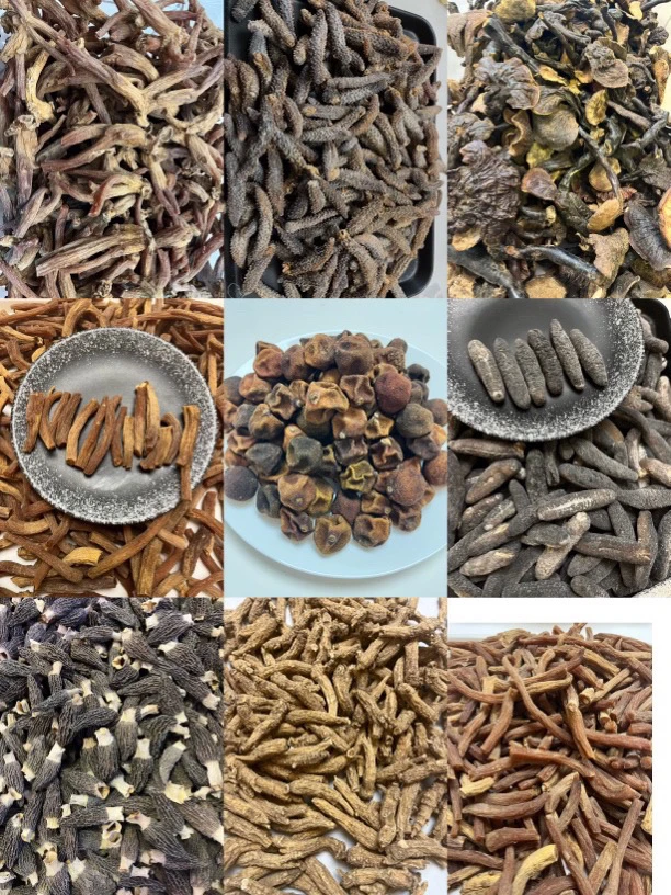 【宽少精选】红花花   桃胶