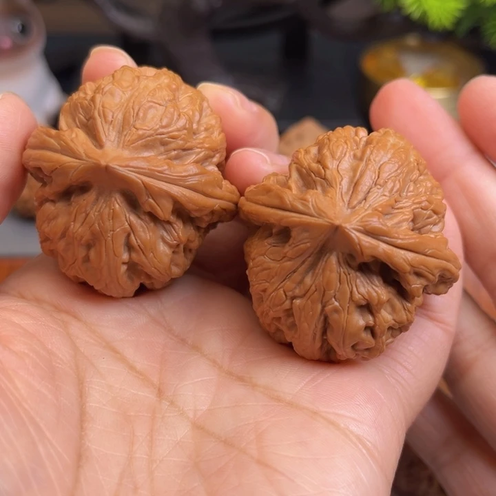 木质类红锦鲤全品44