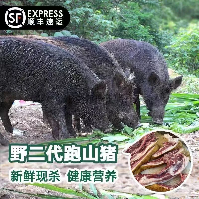 粤北野二代跑山猪顺丰冷链直送纯正天然无添加 现称链接