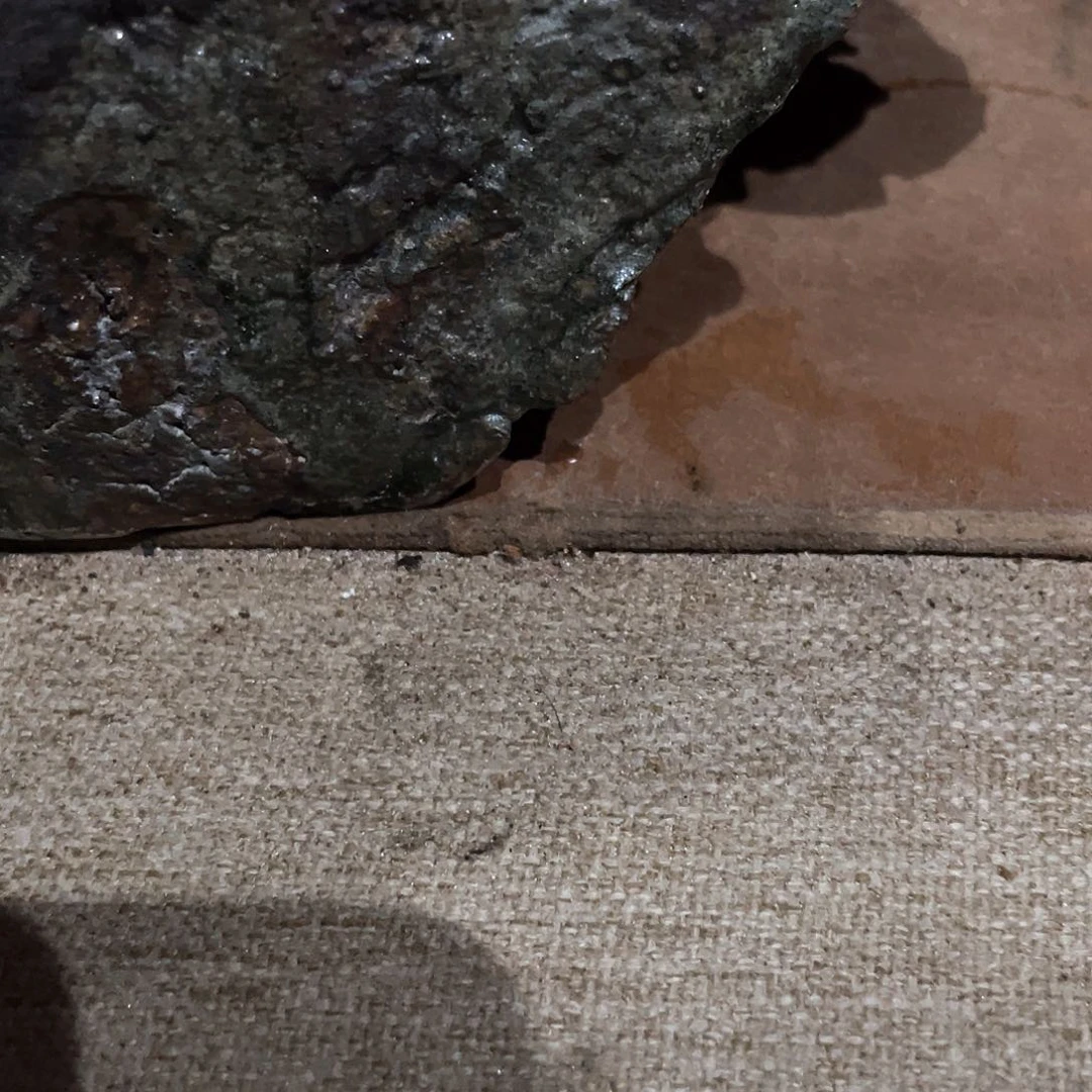 W***e景德镇陶瓷艺术器物