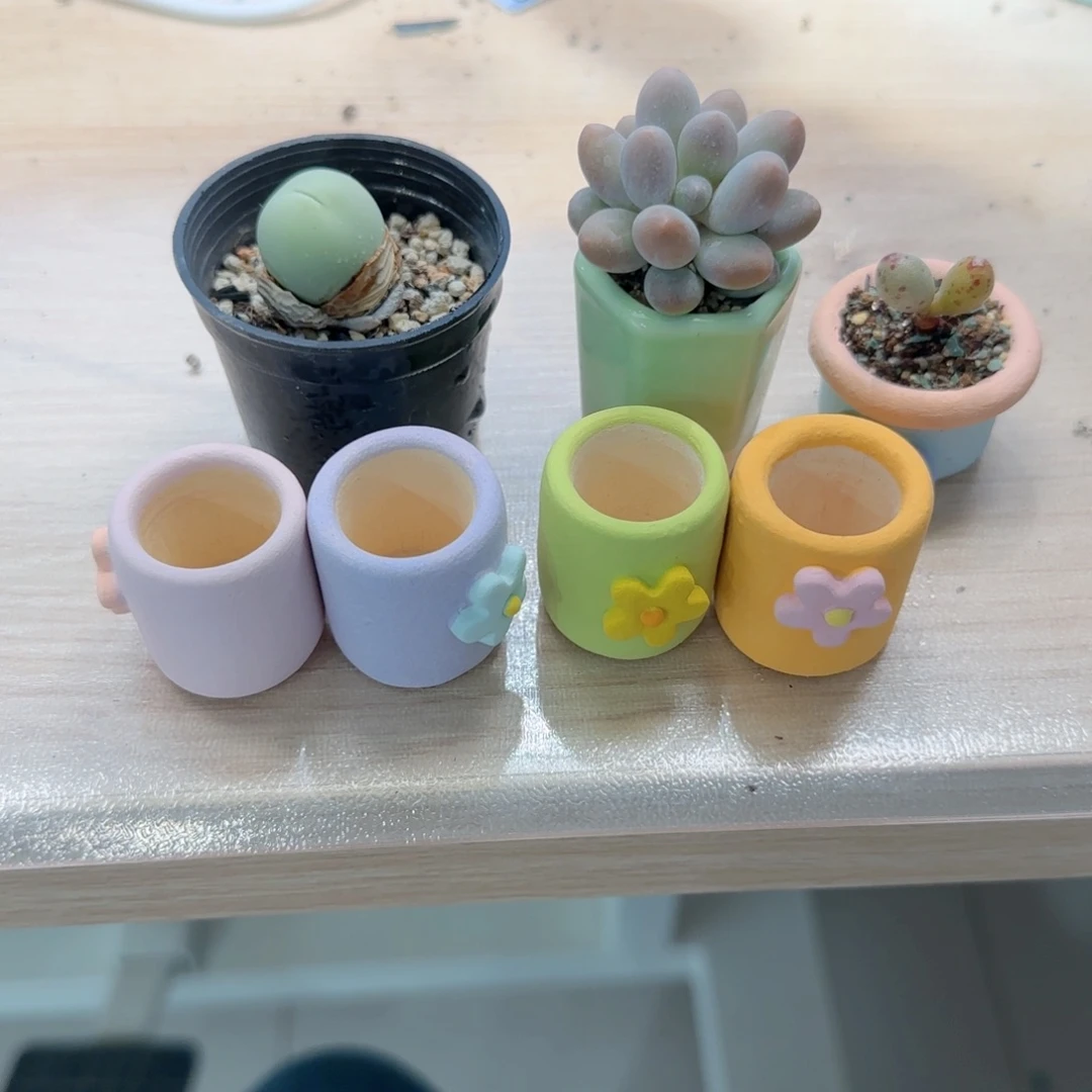 C***.T花盆*4+鸽子蛋+小黄鱼+汤圆*2