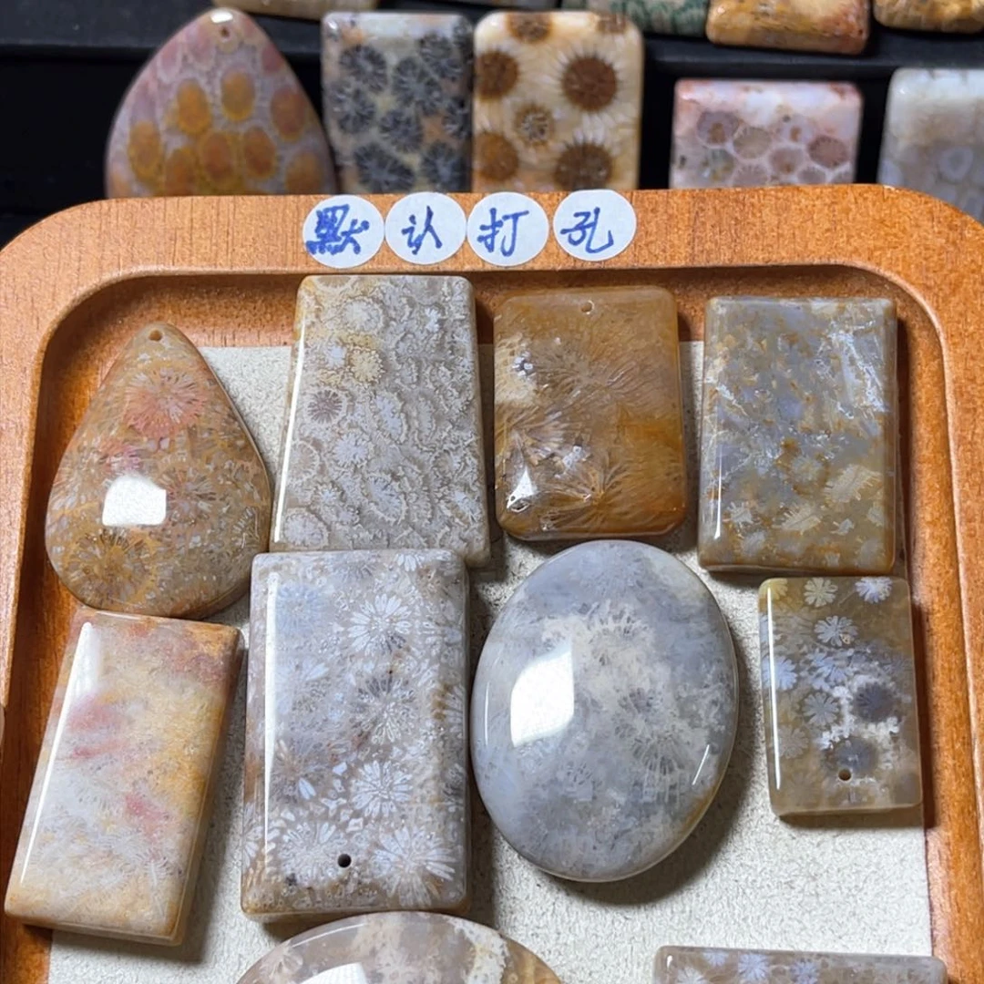 硅化珊瑚（珊瑚玉）吊坠未镶嵌