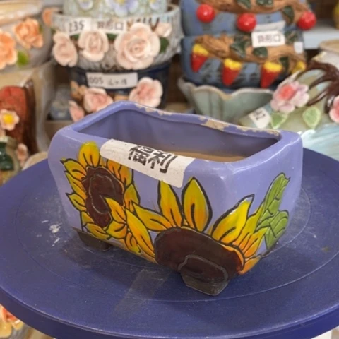 【闪购商品】红陶1