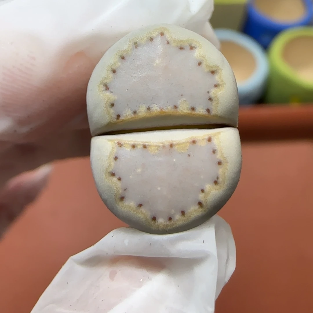 12.23.1621.015饼干.9030