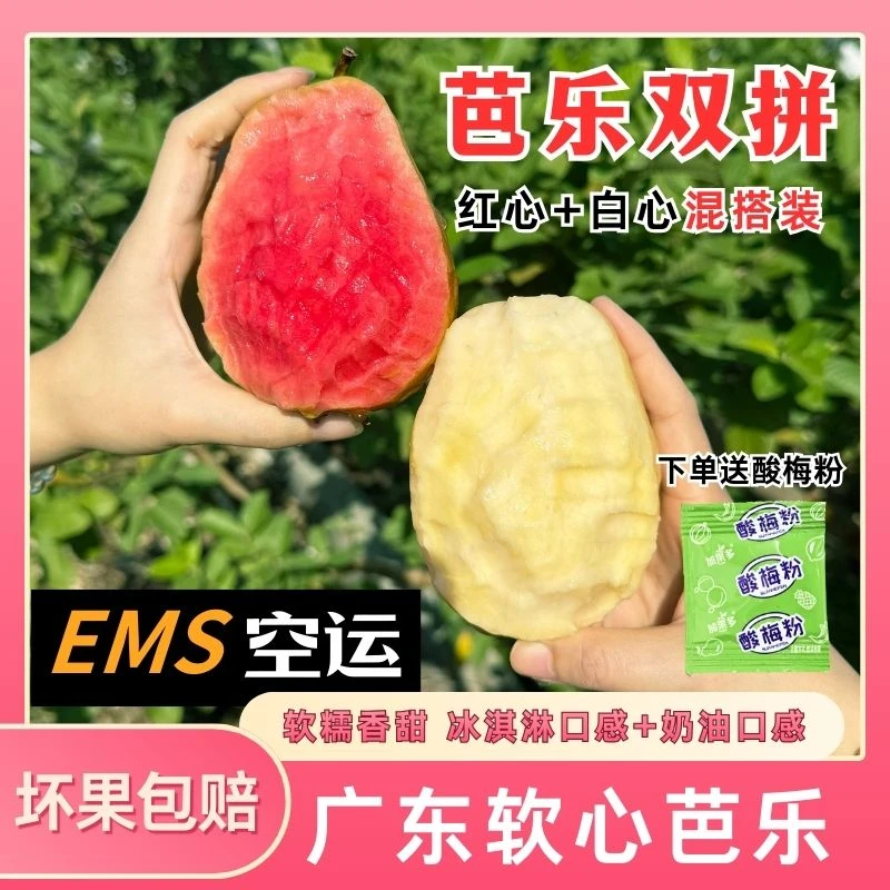 奶油芭乐广东现摘红心白心双拼新鲜软糯香甜孕妇水果低脂番石榴