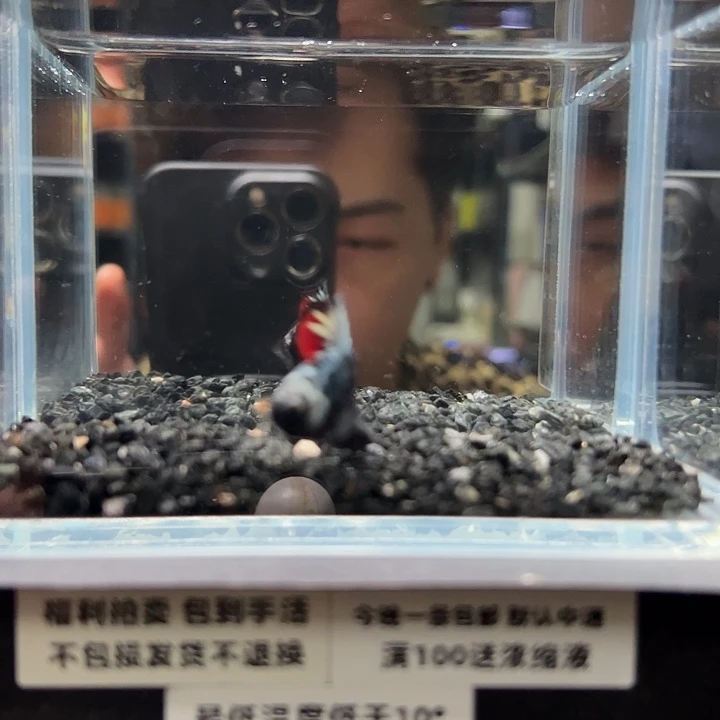 斗鱼竞拍跑单拉黑25日115