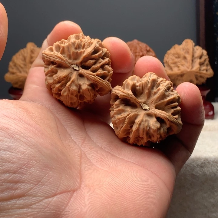 今***事文玩核桃吊坠紫荆关野牛41尺