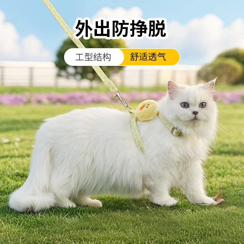 猫咪牵引绳防走丢可调节遛猫绳子幼猫外出用胸背带宠物狗用品