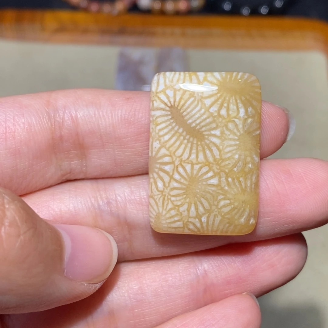 【闪购商品】硅化玉珊瑚玉未镶嵌