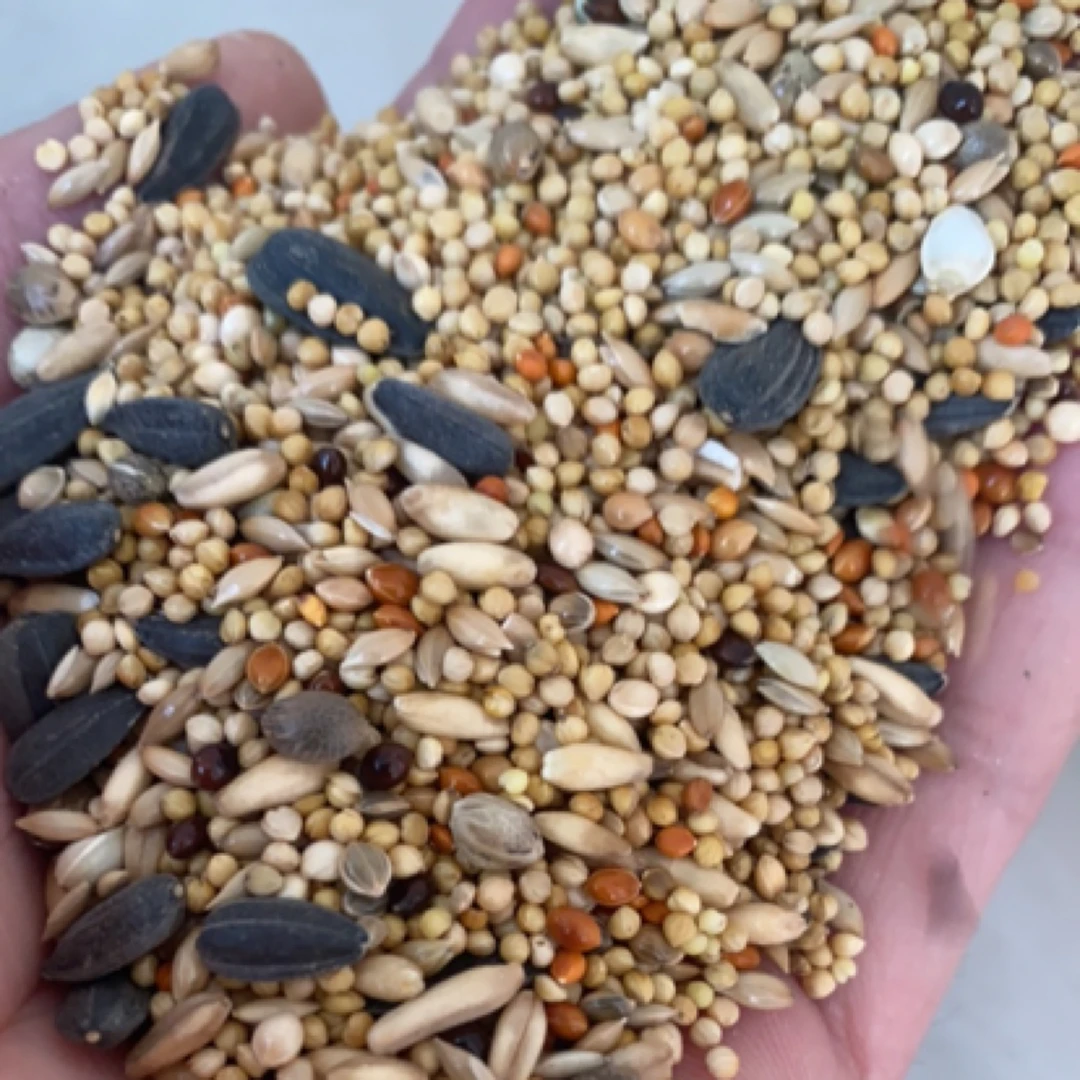 养殖场专用鸟粮，客户专拍