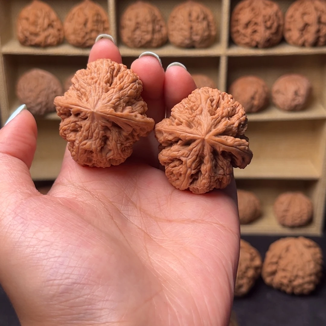 核桃全品无秀粗筋