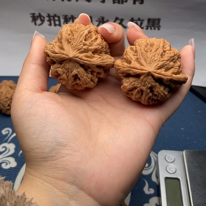 王***强核桃粗筋全品对子49 2