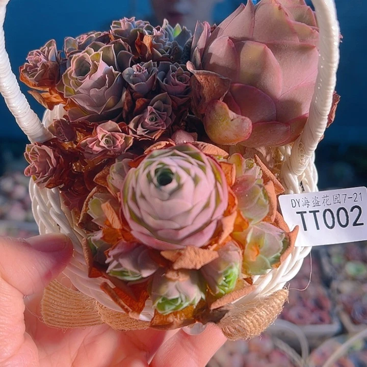 TT002。玫瑰混花篮。