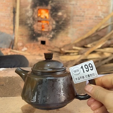 戬谷龙窑柴烧茶壶199