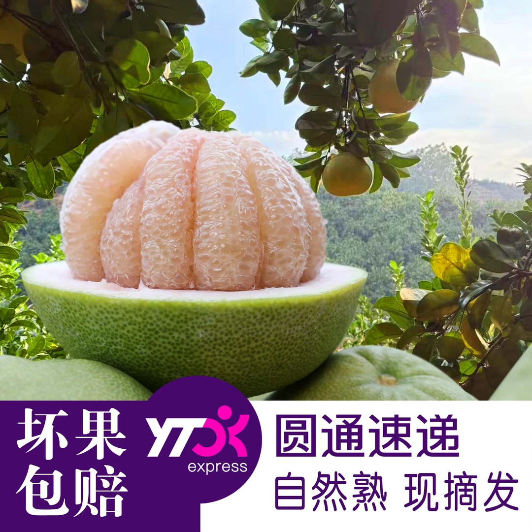 仙游度尾老树文旦柚自家果园红心蜜柚水果当季孕妇水果