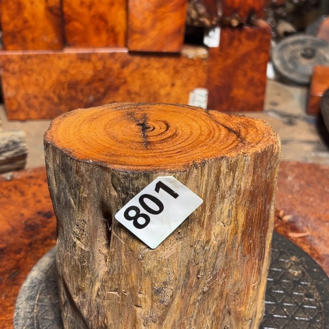 n***e大果紫檀（缅甸花梨）