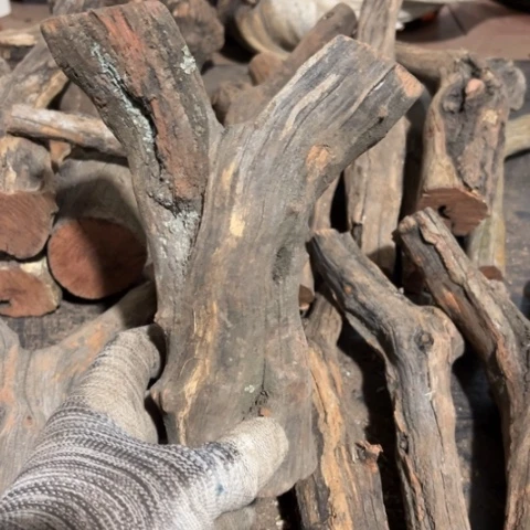 风***镇大果紫檀（缅甸花梨）