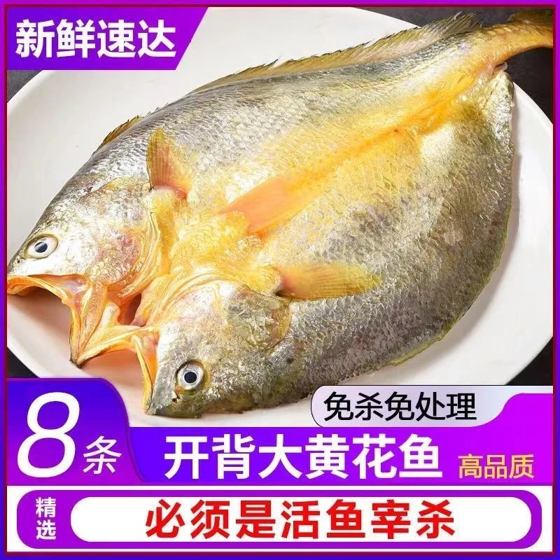 大黄鱼黄花鱼黄鱼鲞干货独立真空包装生鲜海鲜厂家批发价黄鱼2