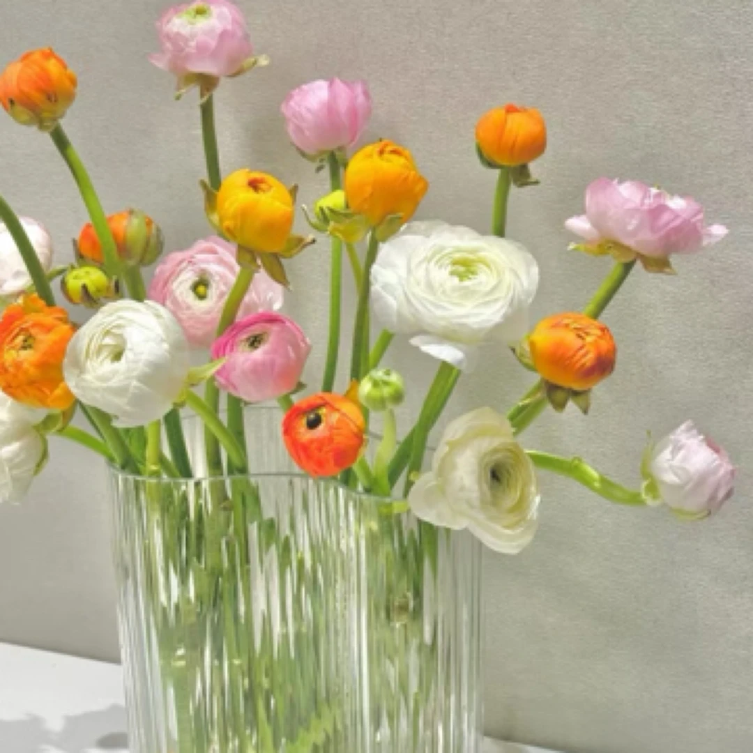 仙气飘飘洋牡丹一束下单备注颜色（今天拍明天到全场任意两单包邮到家）