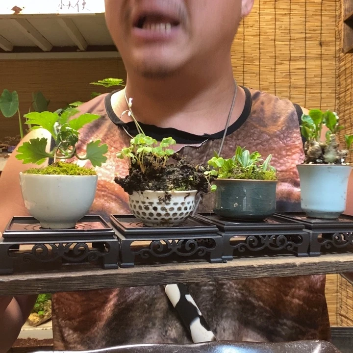一物一拍所见即所得217
