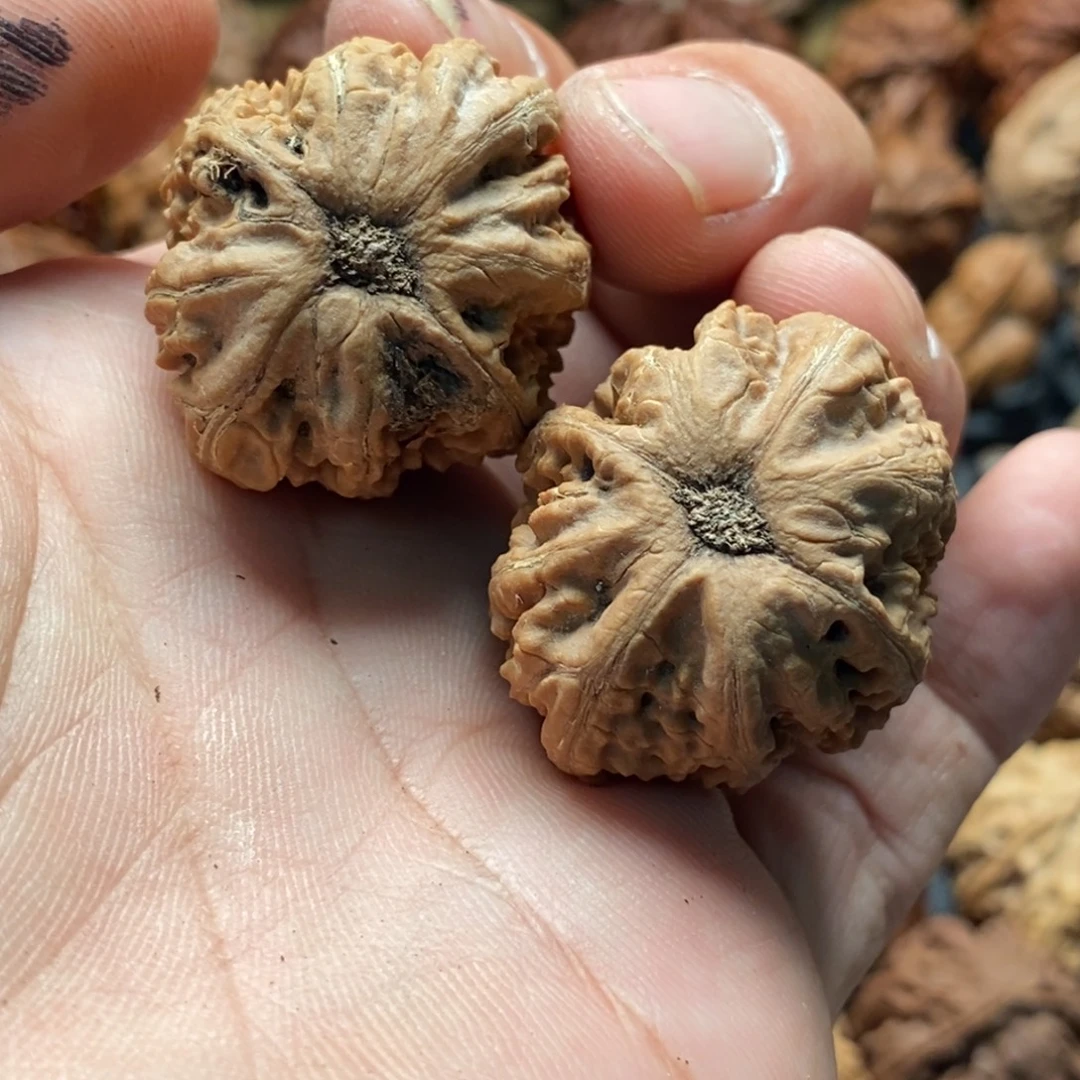 吊坠文玩核桃小涵42