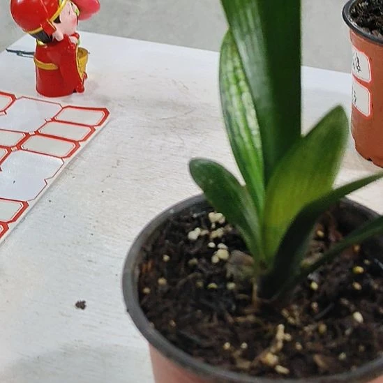 完全开放对公户健健康康