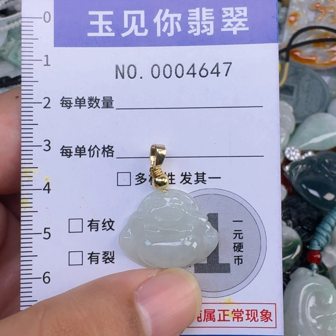 翡翠未镶嵌吊坠(不含链)