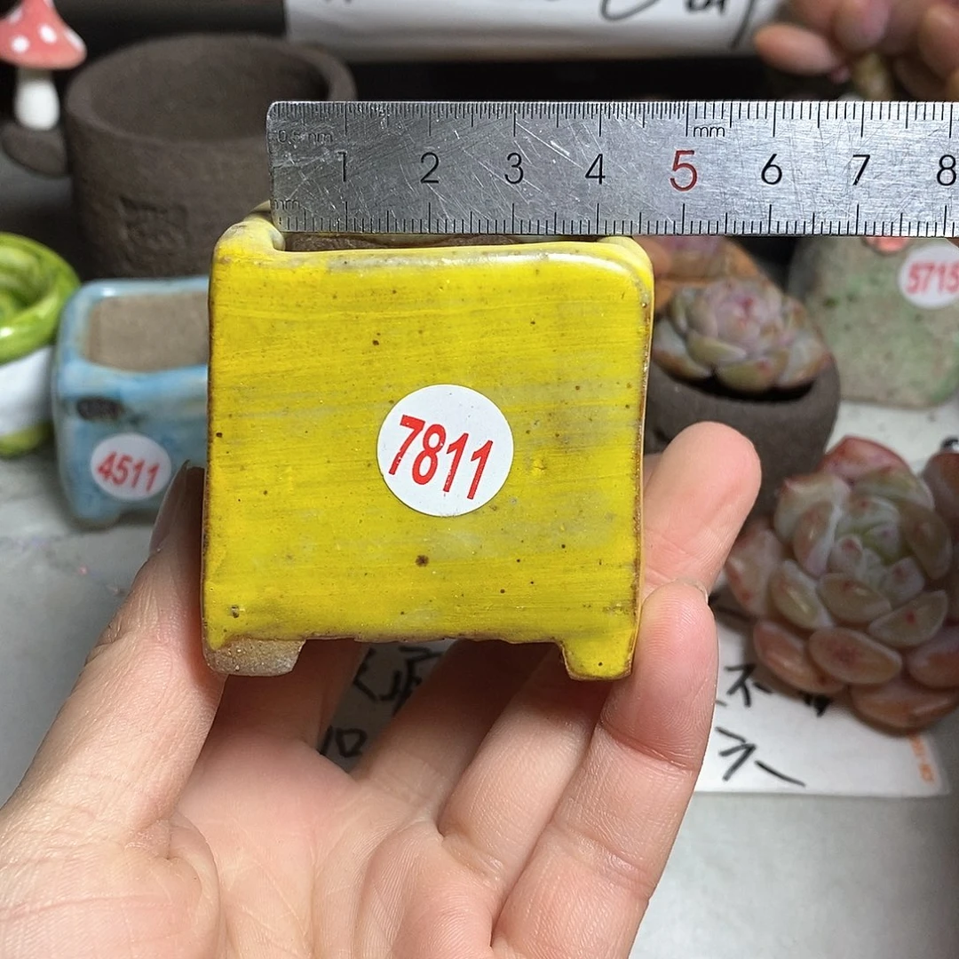 红陶处理的，处理