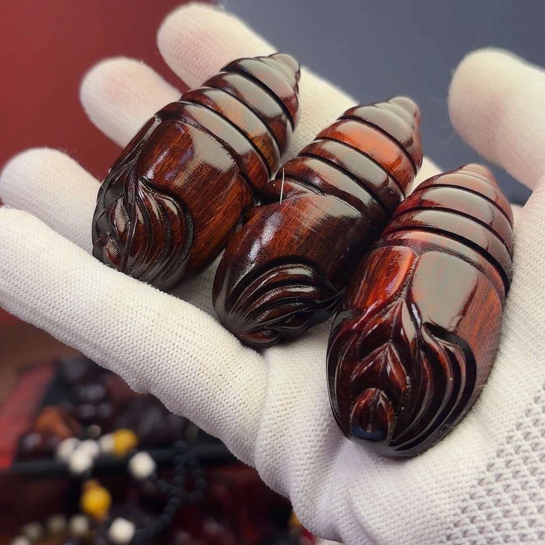 檀香紫檀（小叶紫檀）蛹