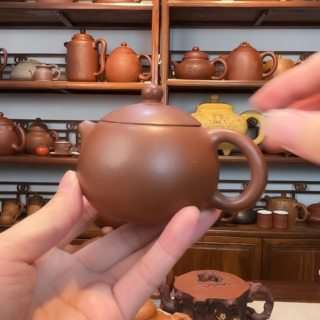 茶杯紫砂紫砂西施壶
