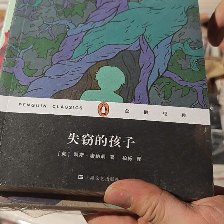 失窃的孩子平装库存书
