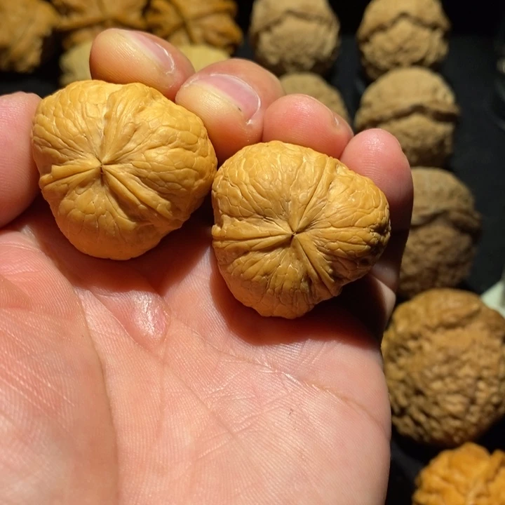 万***我桃核吊坠铁核桃三棱