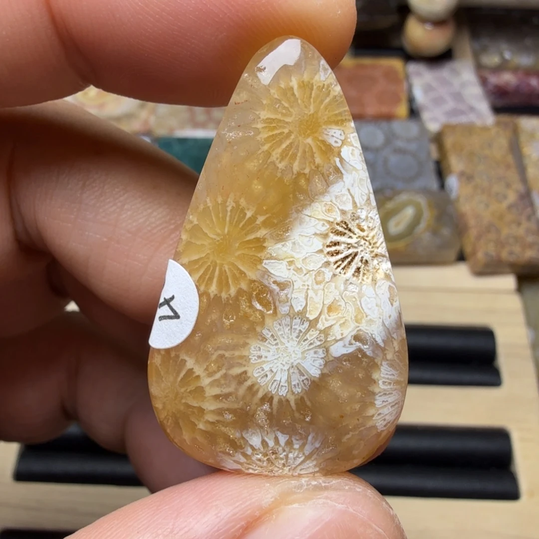 硅化玉未镶嵌纯天然色有你玉石保真色