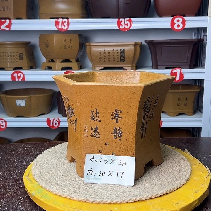 紫砂花盆你在一起