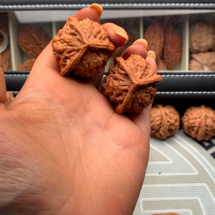把件桃核猫头鹰奔驰全品40尺寸
