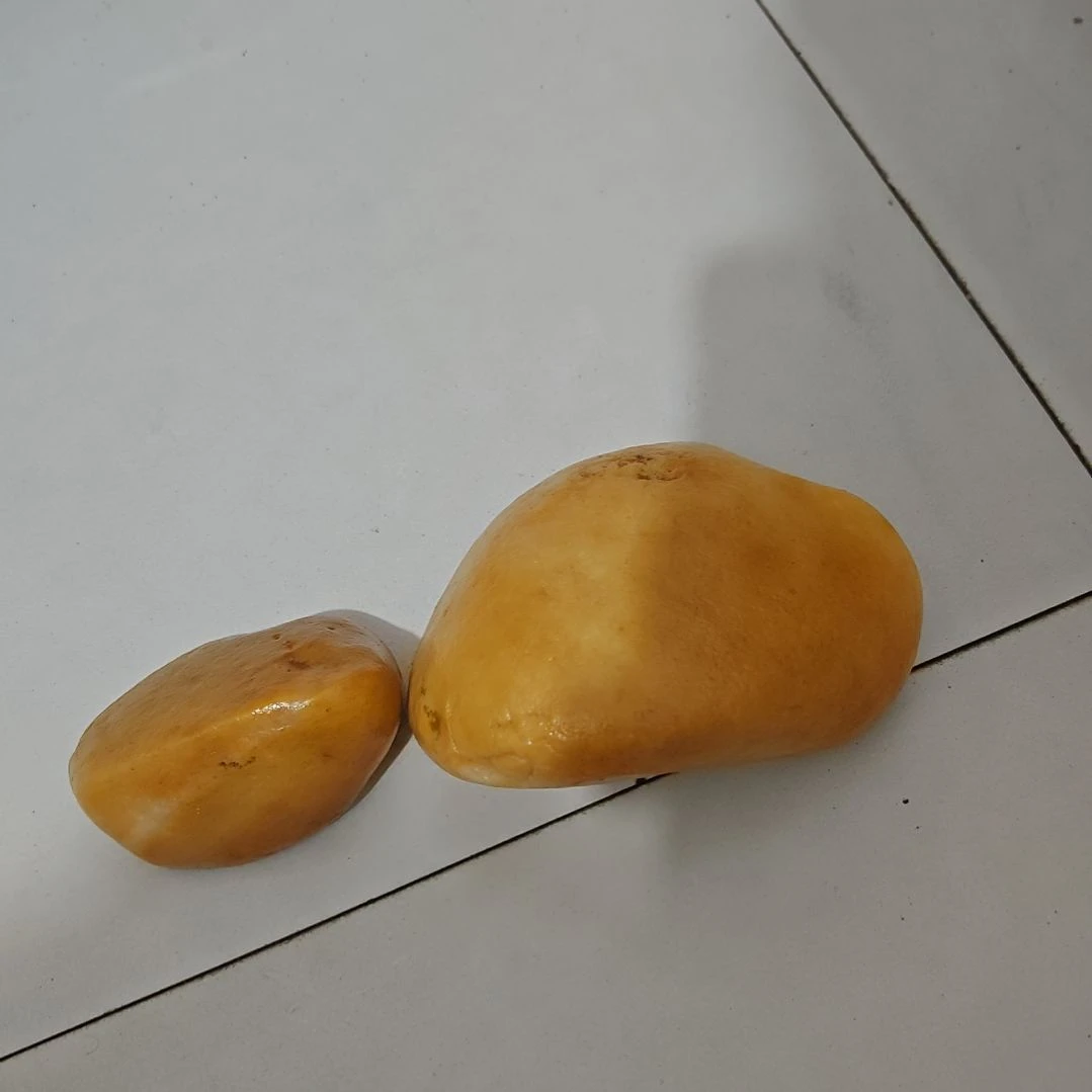 未镶嵌5555555555石英质玉