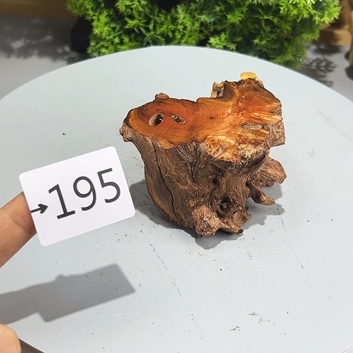 香榧木覺**絡火琉璃……