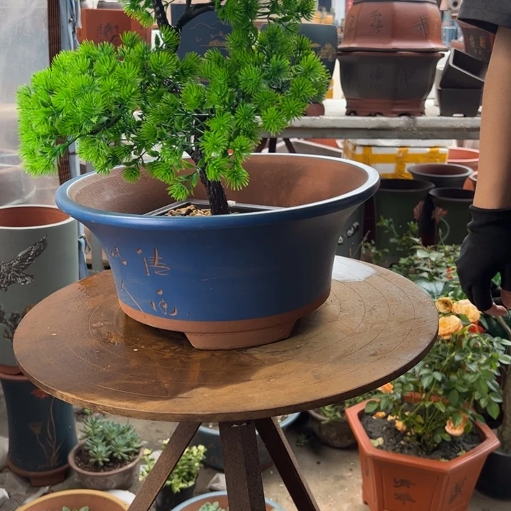 宜兴紫砂花盆33蓝票口