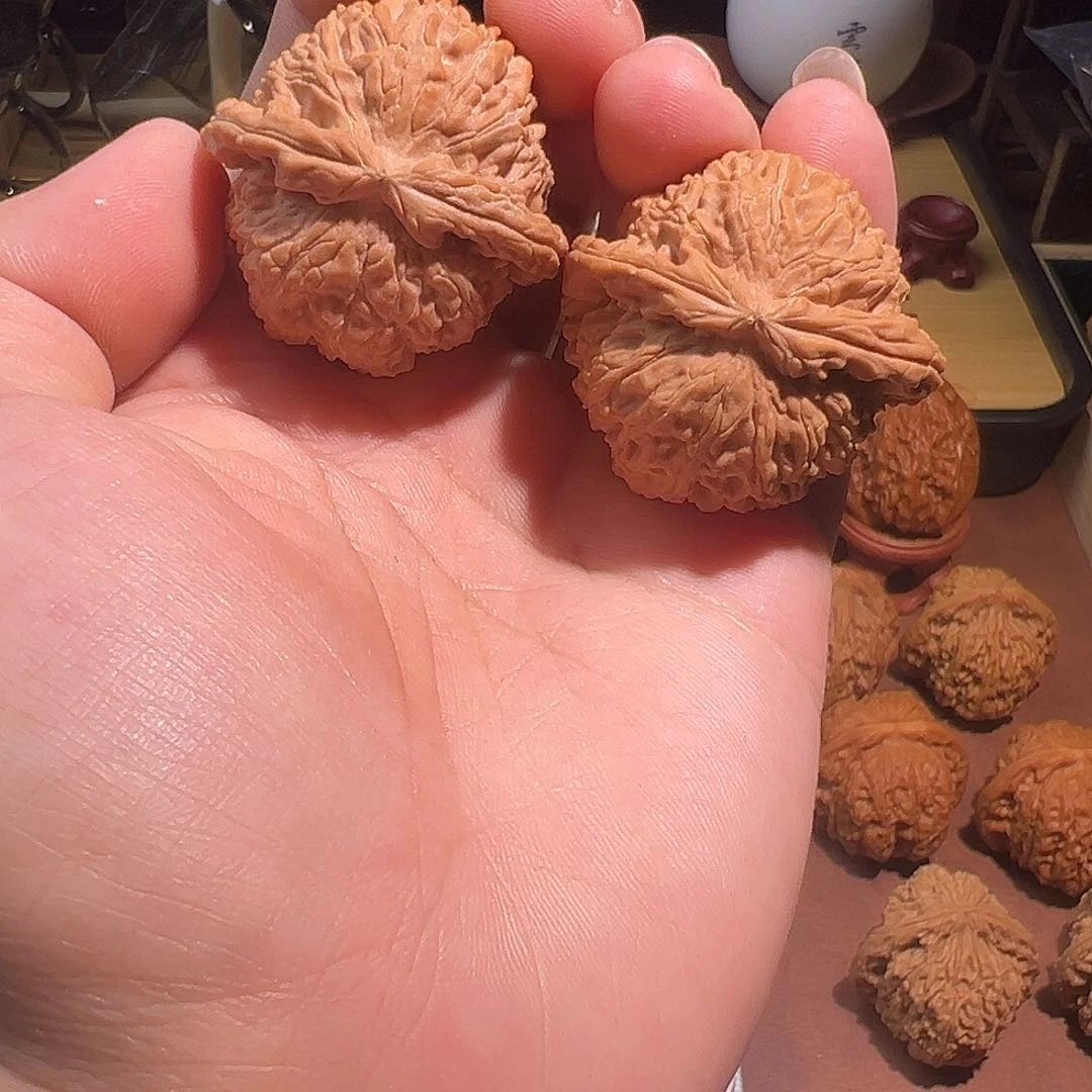 皮**丘全品39尺白狮子。送福利