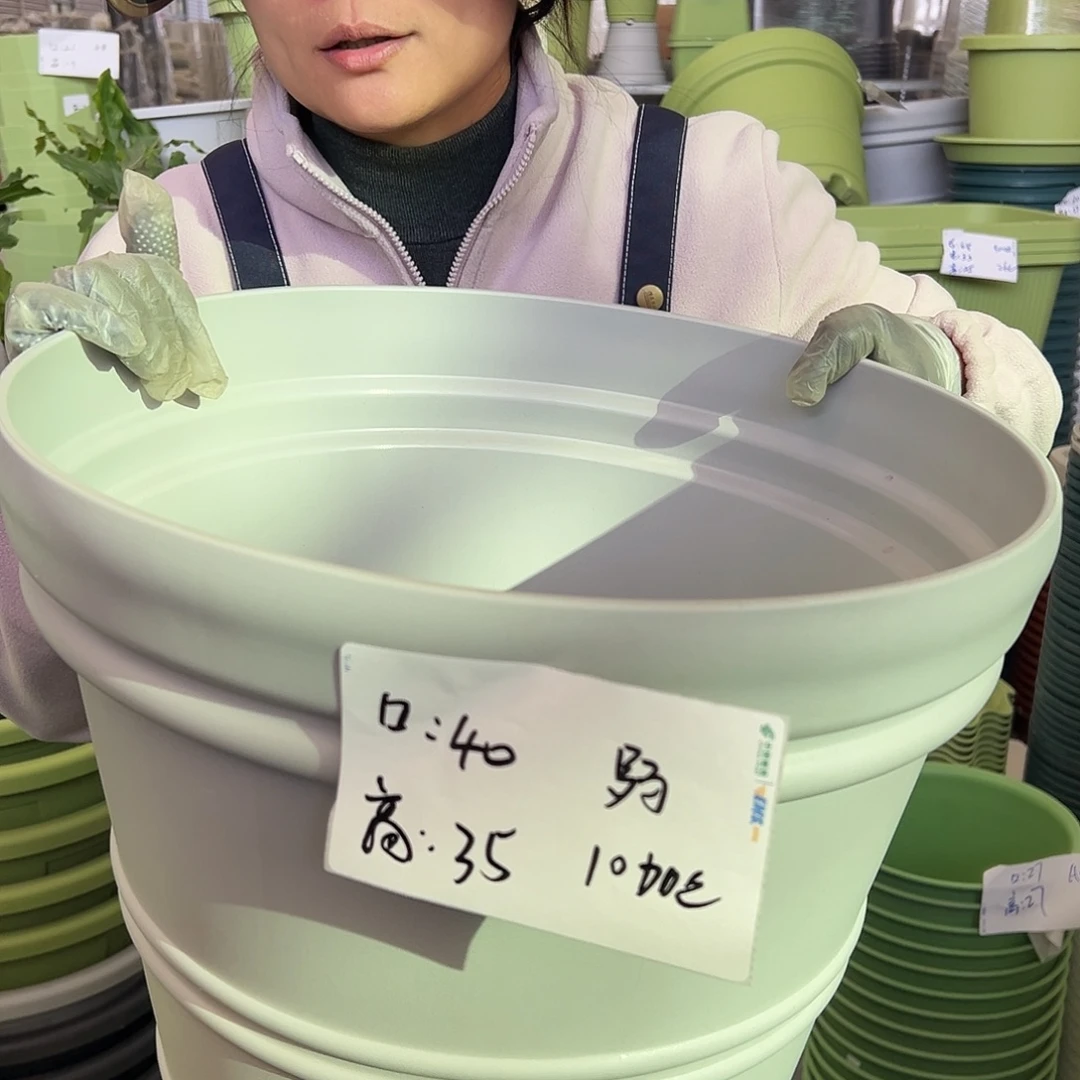 仿陶罗马小号灰白色3个无托