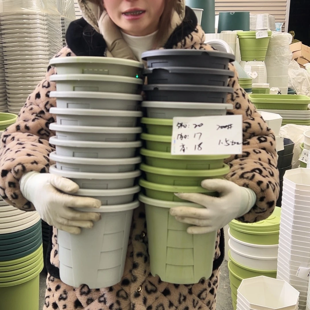 瑕疵玫瑰盆200#混色10个无托